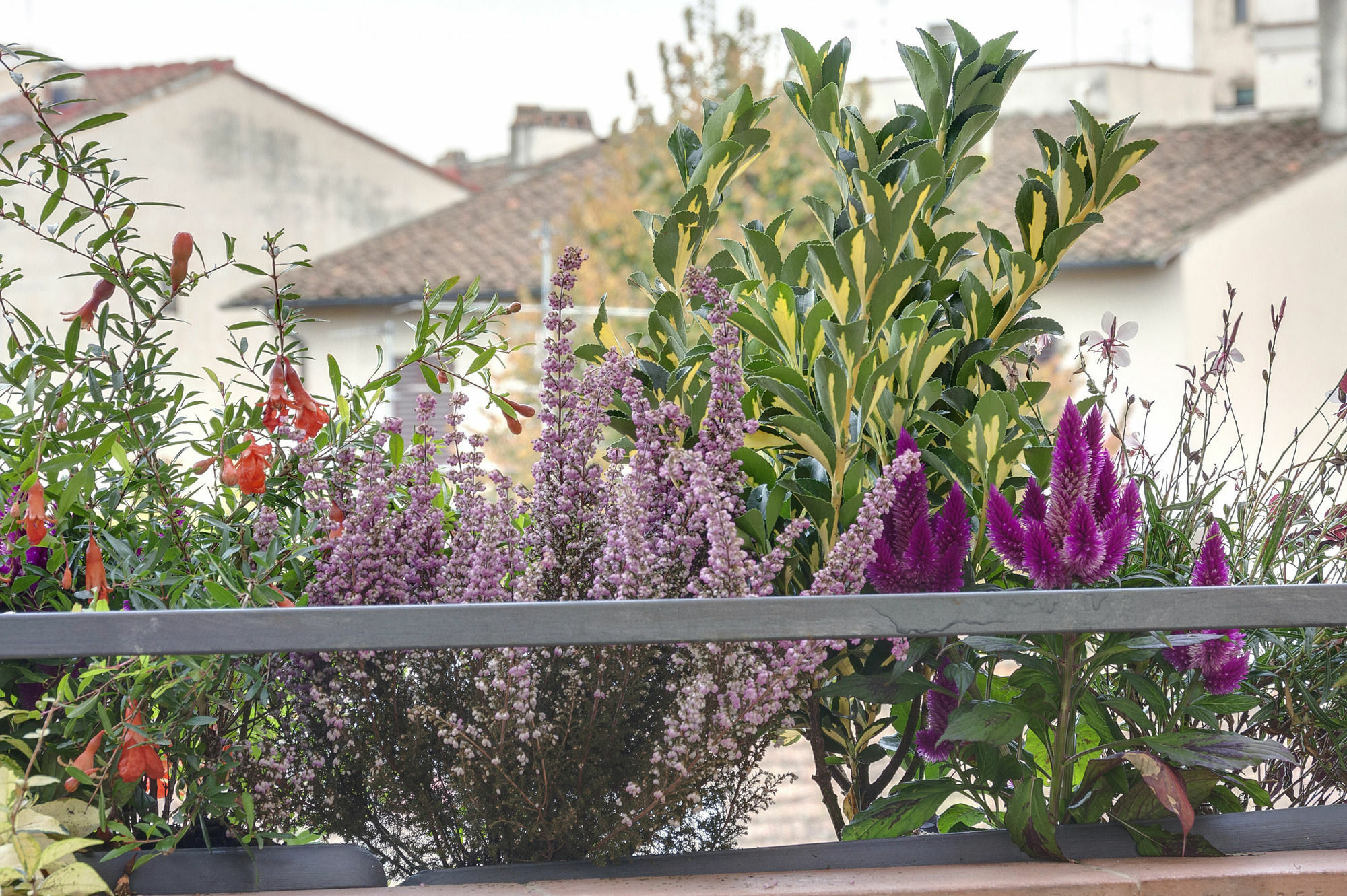 Dolce Vita Suite Florence Ngoại thất bức ảnh
